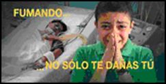 Mexico 2009 Health Effects death - lived experience,  die younger, targets parents